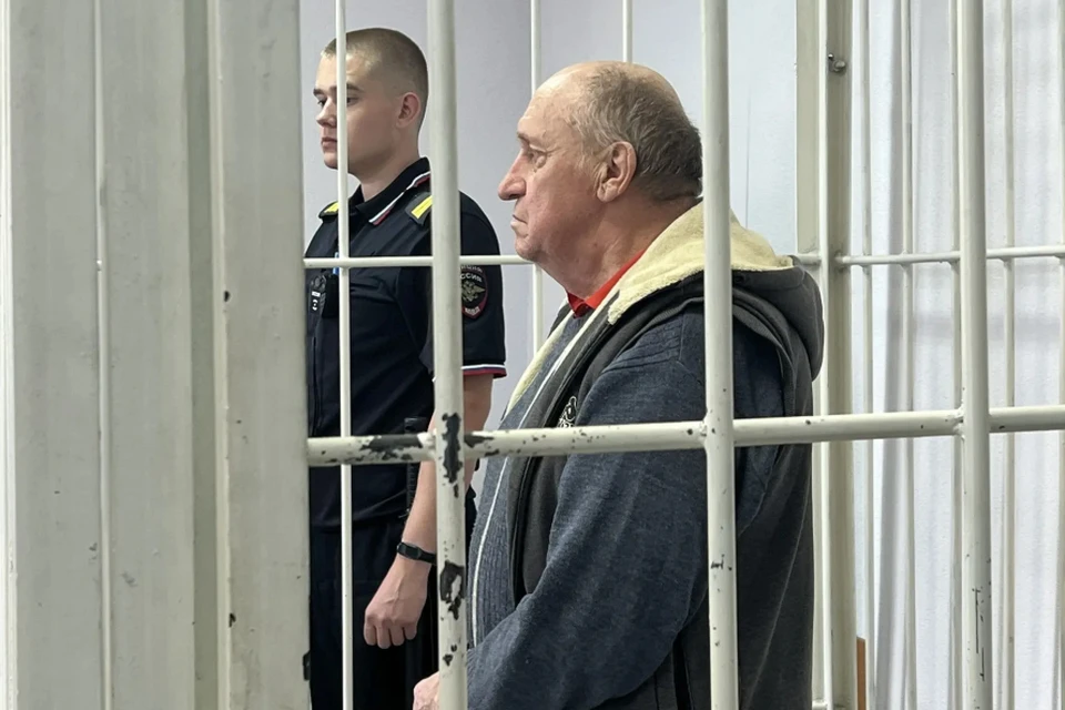 Печенкин не признал вину ни по одному из эпизодов.
