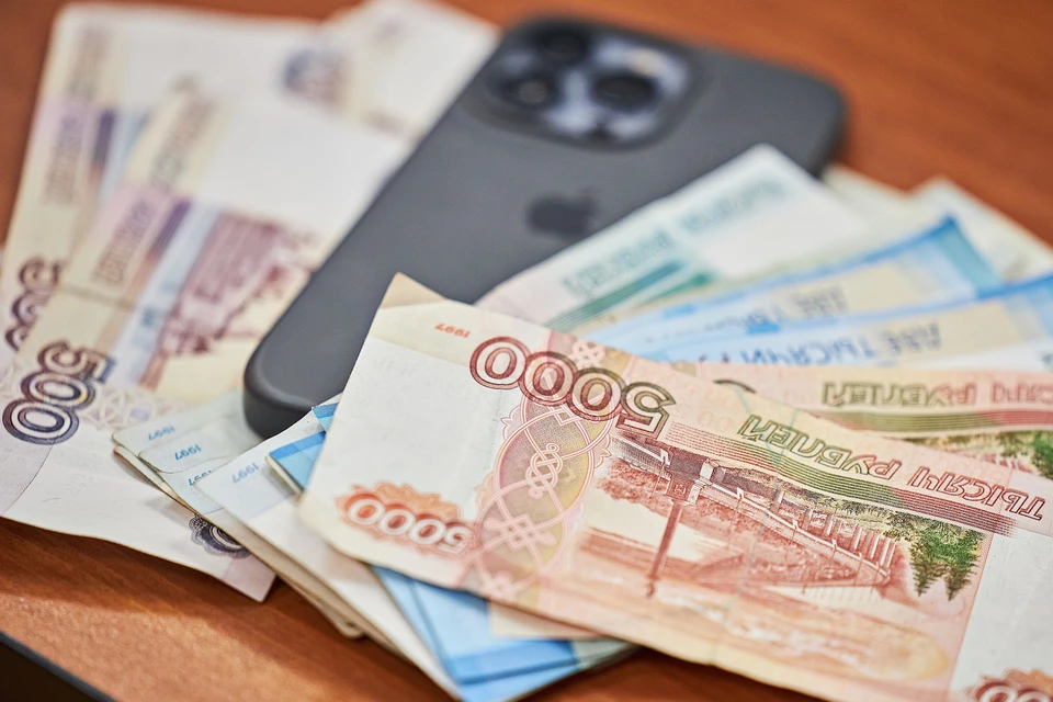Деталями очередного случая дистанционного хищения поделились в полиции