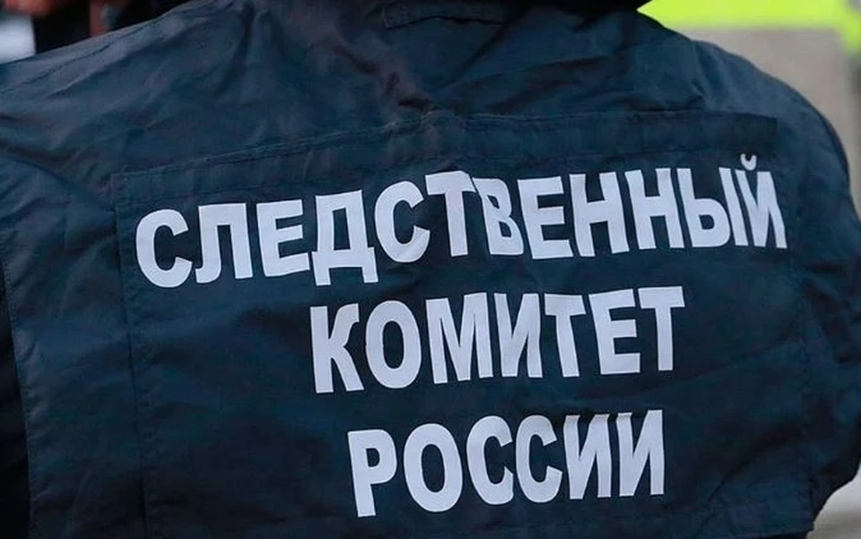 Возбуждено уголовное дело
