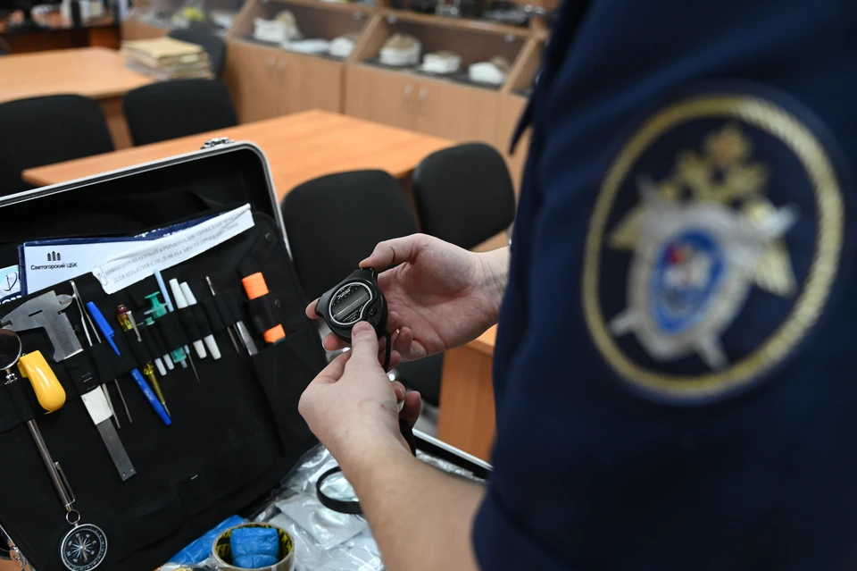 По факту случившегося региональное управление Следственного комитета проводит проверку