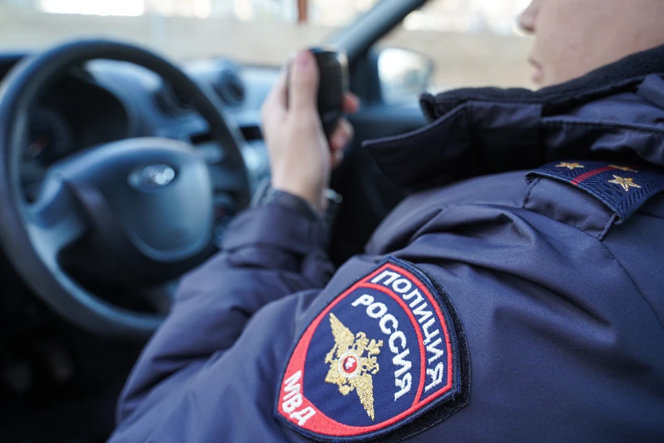 Акита напала на ребенка в подмосковной деревне Дубцы, проводится проверка