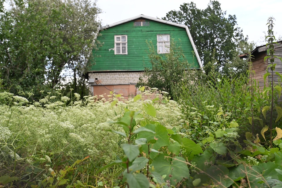 Пик интернет-активности за городом приходится на воскресенье.