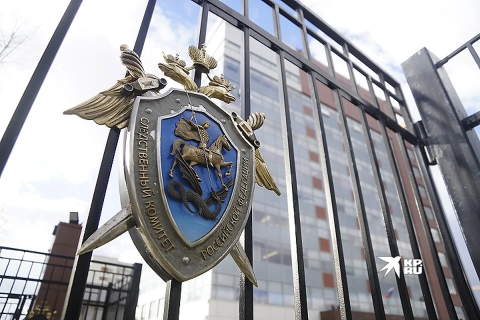 Нападение на здание СКР обернулось для тагильчанина принудительным лечением