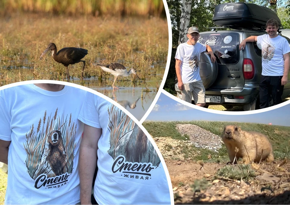 Южноуральцы больше двух месяцев ищут редких обитателей в степях Челябинской области. Фото: Евгений Попов.