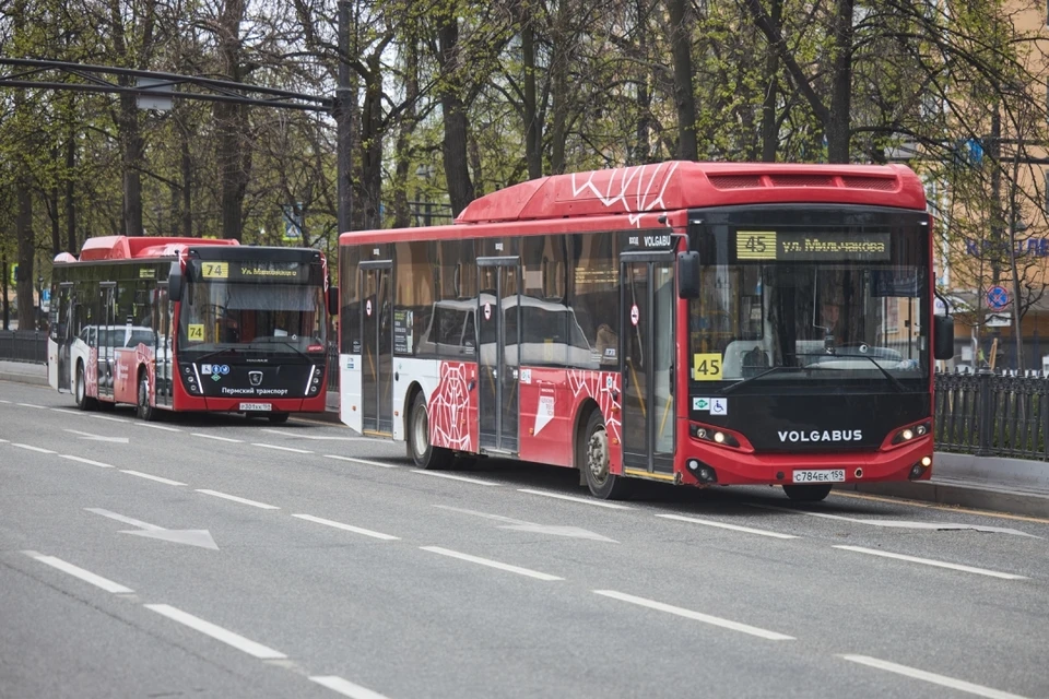 Изменения коснутся многих автобусных маршрутов