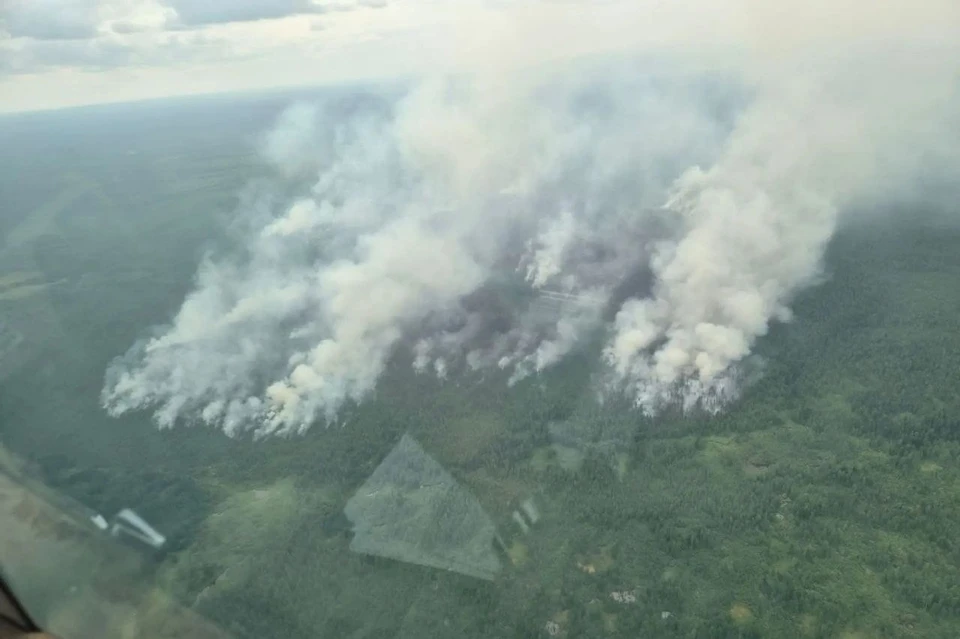Фото: Лесопожарный центр Красноярского края