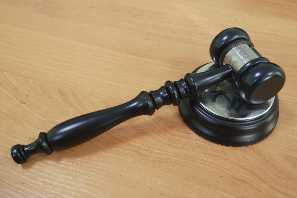 Суд признал луганчанку виновной по части 2 статьи 354.1 УК РФ.