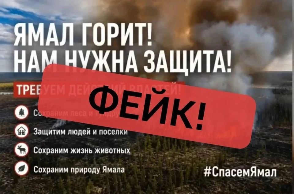 Фото: мах-канал «ЯМАЛ. Официально»