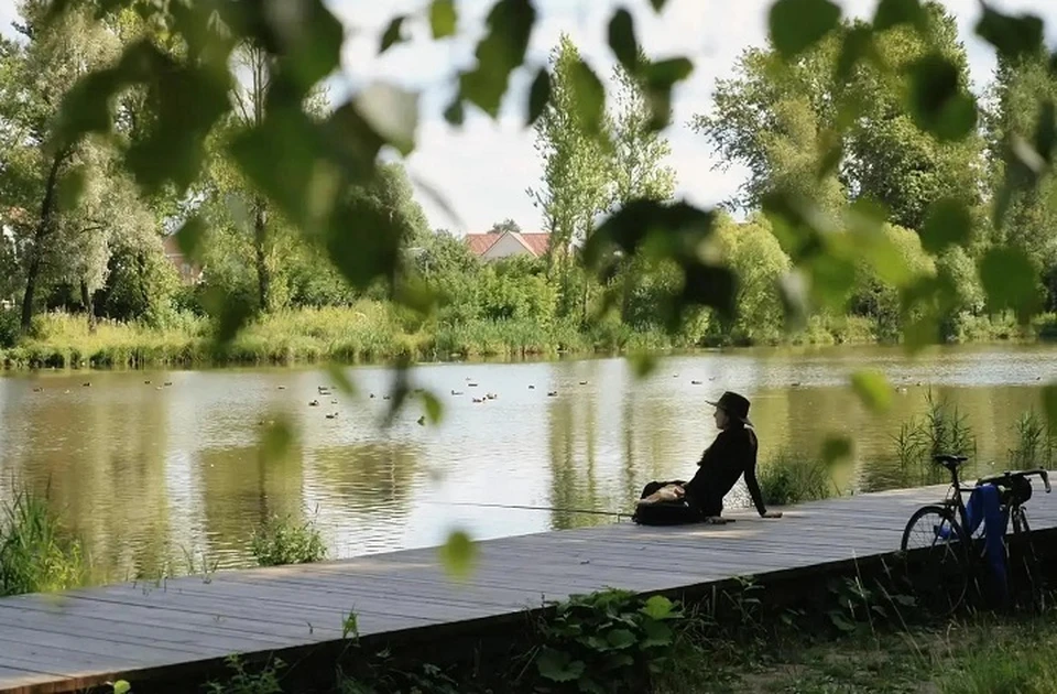В парке "Судостроителей" идет второй этап благоустройства.