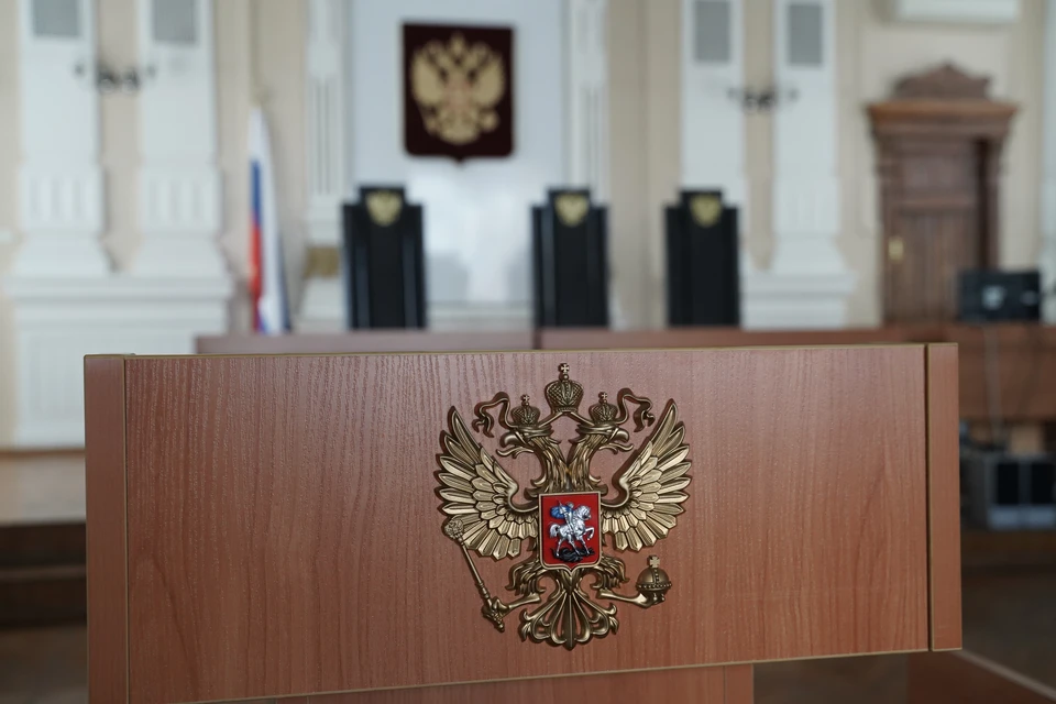 Студенты колледжей и вузов, получающие юридическое образование, смогут работать специалистами в судах.