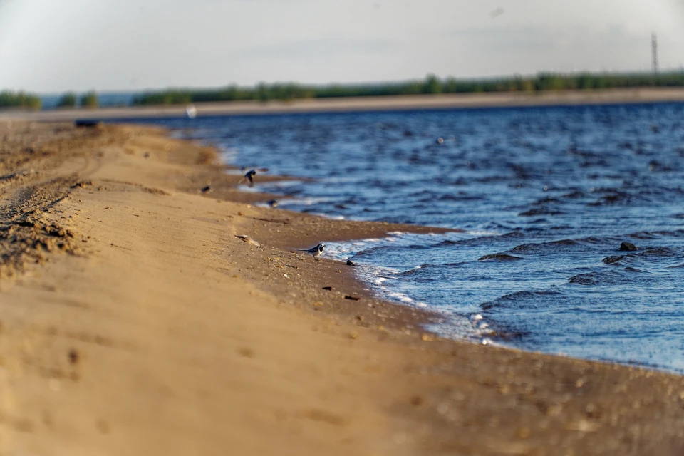 За сутки на водоёмах Иркутской области погибли пять человек