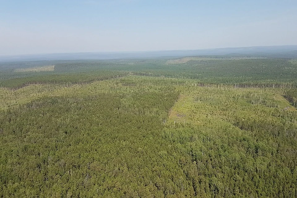 Пятый класс пожарной опасности продлили в поселке Козыревск на Камчатке