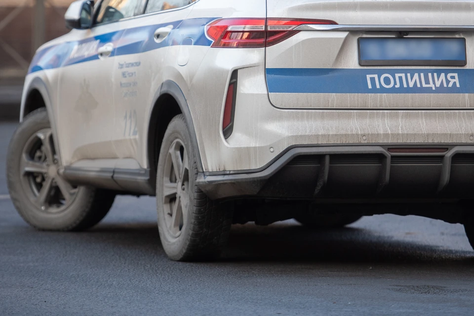Молодая рязанка подожгла автомобиль полиции и получила 14 лет за теракт.
