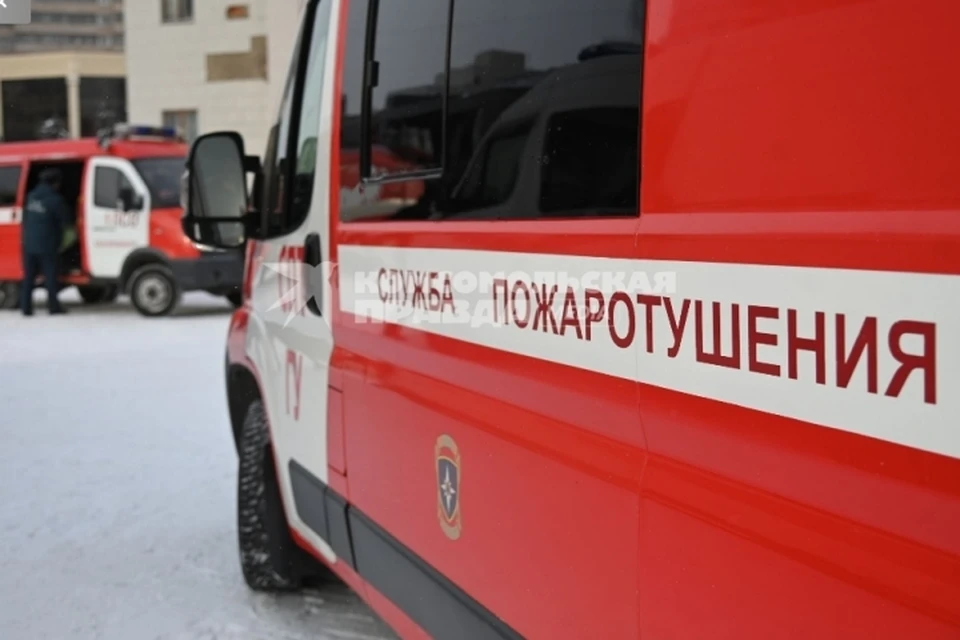 Фото: Ольга ЮШКОВА.