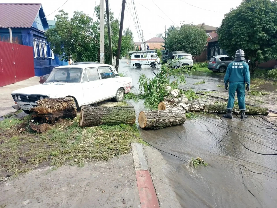 В Ульянвске убрали завалы из сломанных деревьев на трёх улицах. ФОТО: канал МАХ Александра Болдакина