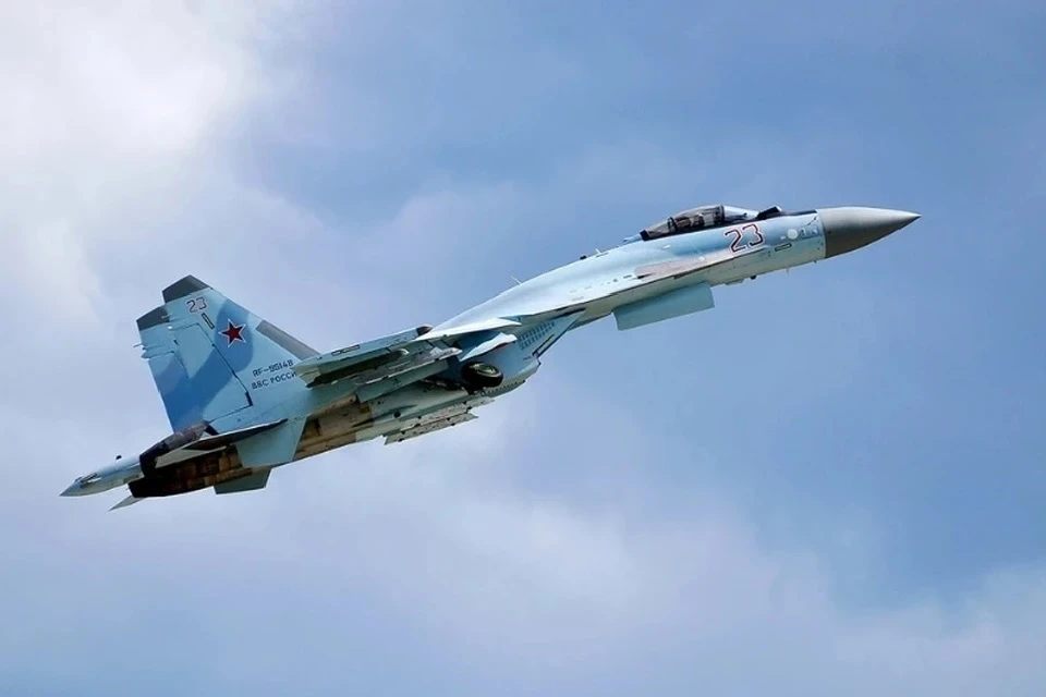 На Западе сравнили российский Су-35 и шведский Gripen Фото: пресс-служба Западного военного округа