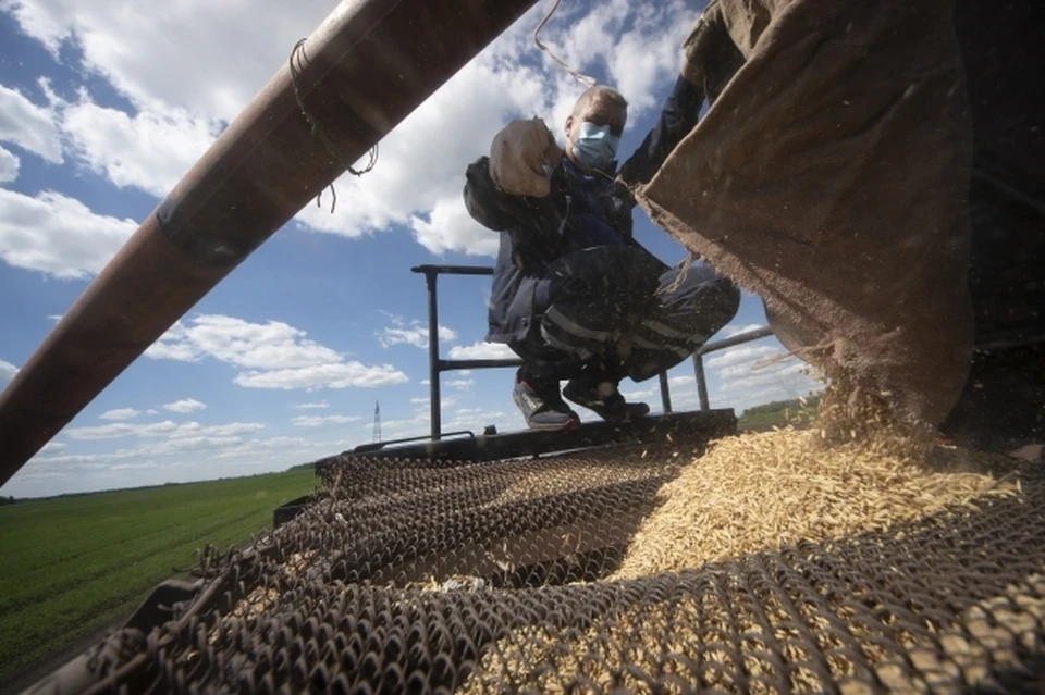 С начала года республика экспортировала продукции АПК на 277,8 миллиона долларов.