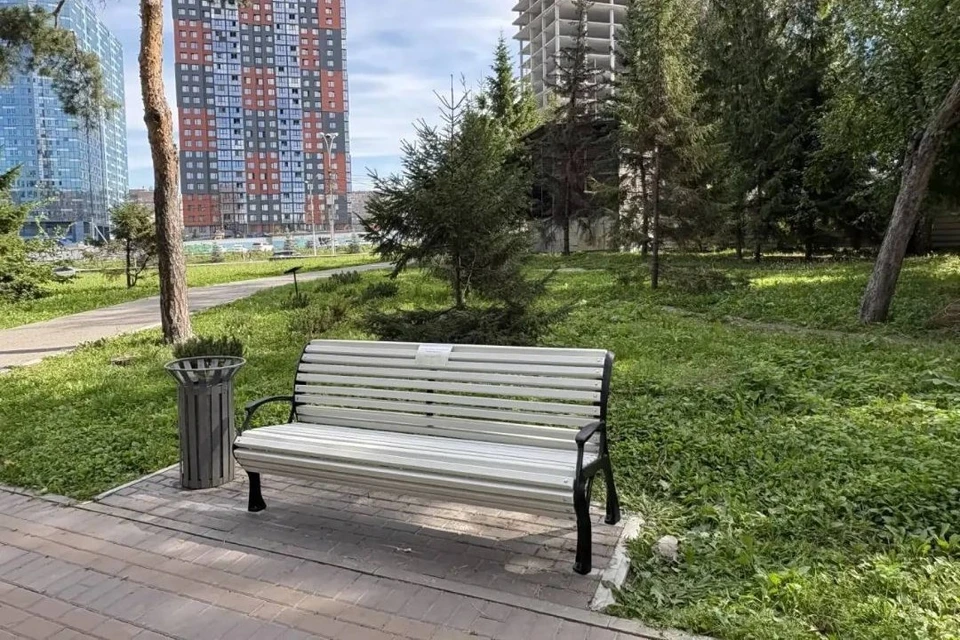 Волонтеры установили три скамейки с теплыми надписями. Фото: пресс-служба мэрии Новосибирска.
