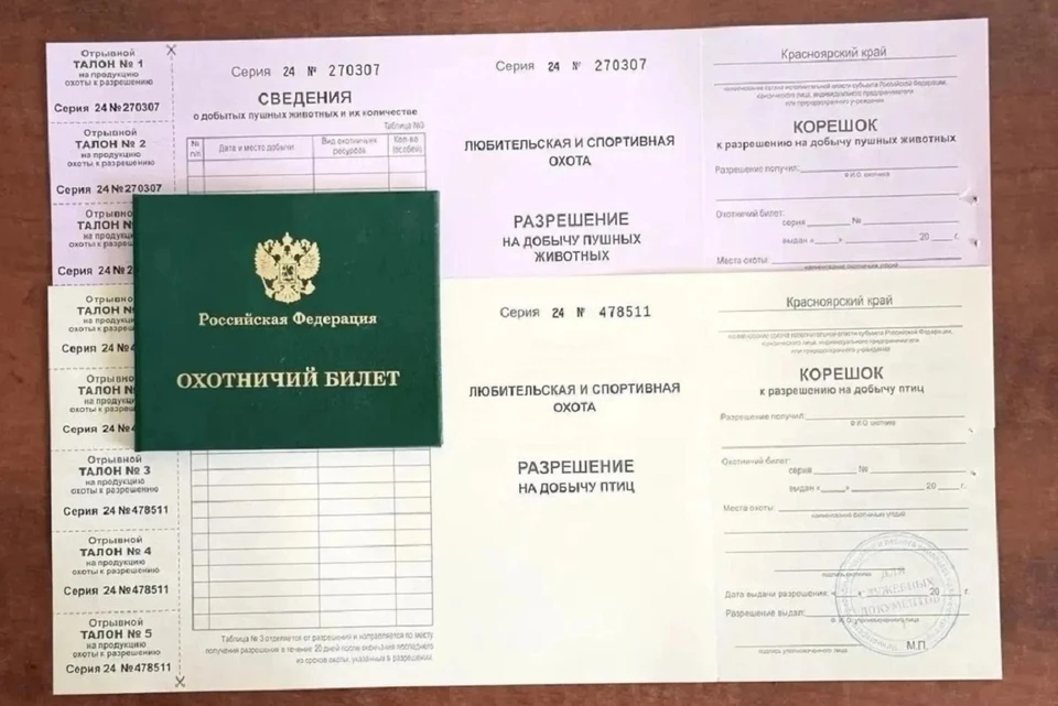 В крае начинается сезон охоты на пернатую дичь. Фото: Министерство природных ресурсов и лесного комплекса Красноярского края