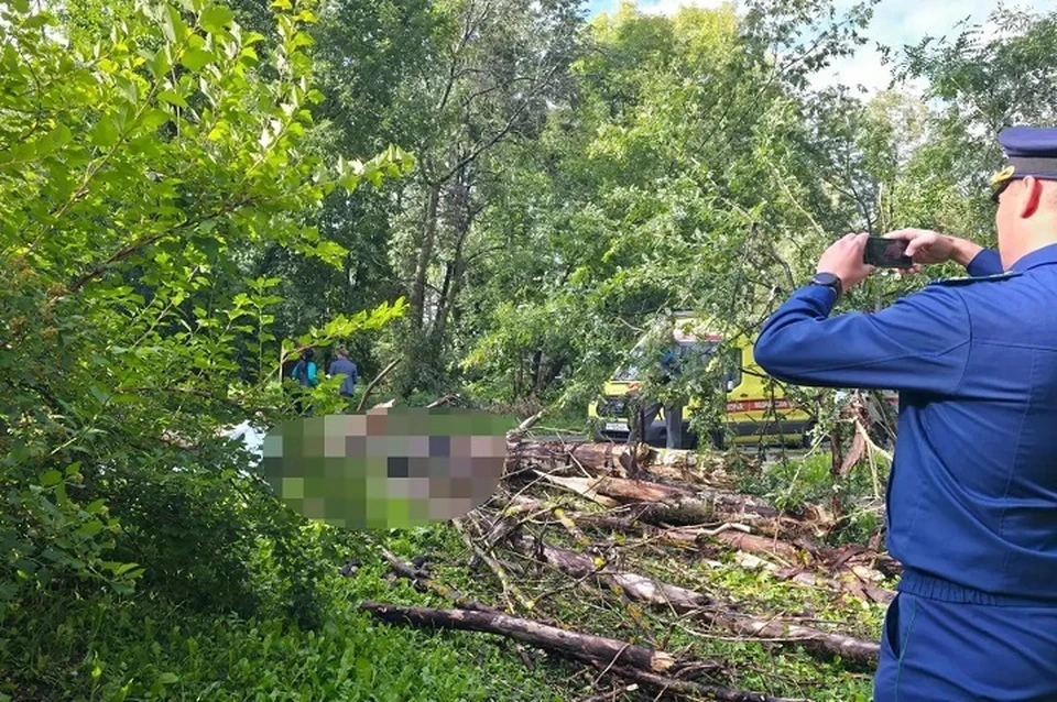 В Ярославле упавшее дерево убило мужчину.