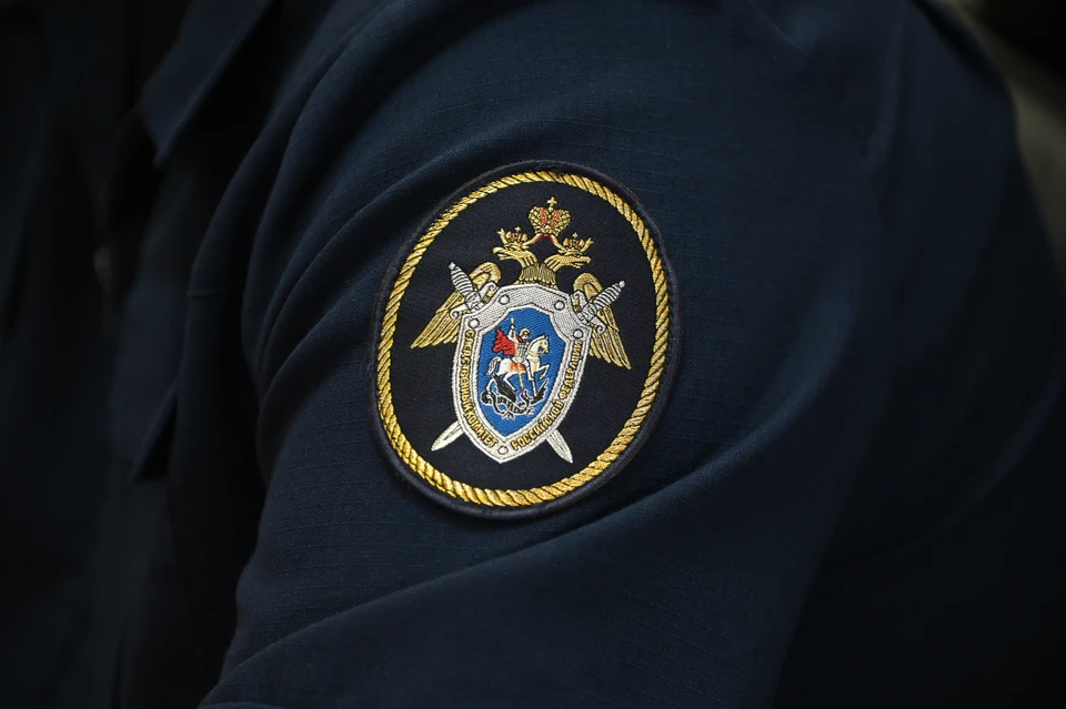 Материалы дела теперь рассмотрит Первомайский районный суд Ростова-на-Дону.