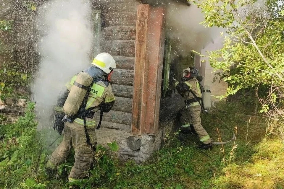 В Красноярском крае за неделю потушили 74 пожара. Фото: МЧС