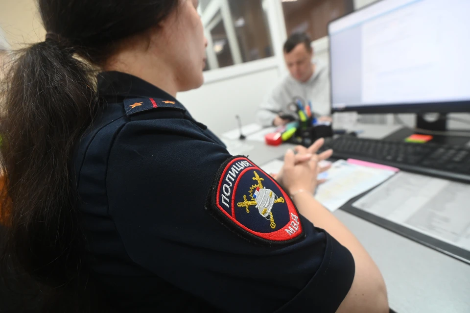 Сотрудники полиции ЛНР задержали троих подозреваемых в кражах за сутки