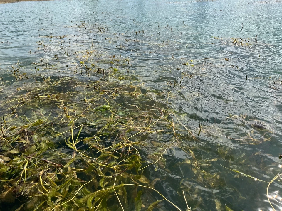 В районе Кирова наблюдаются низкие уровни воды в Вятки