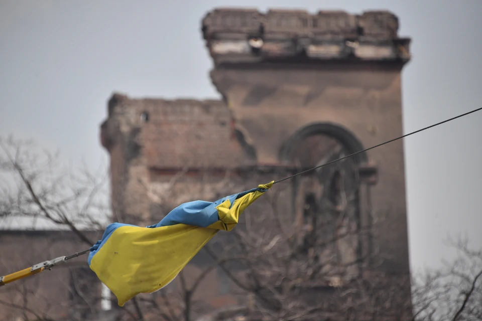 На Украине заявили о необходимости возглавить коррупцию вместо борьбы с ней
