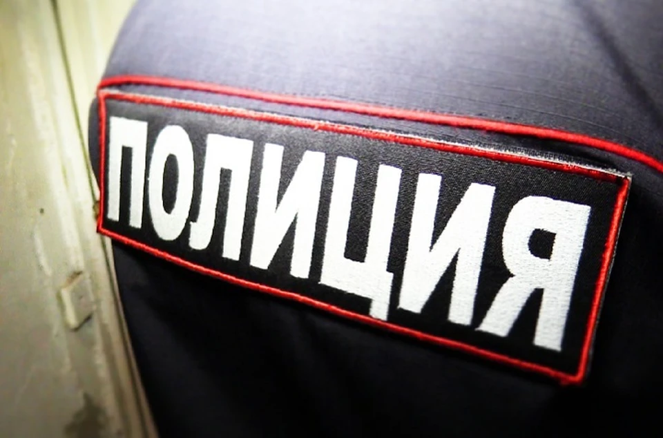 Сотрудники полиции уличили двоих сообщников в незаконной регистрации индивидуального предпринимателя на подставное лицо. Фото (архив): МВД по ДНР