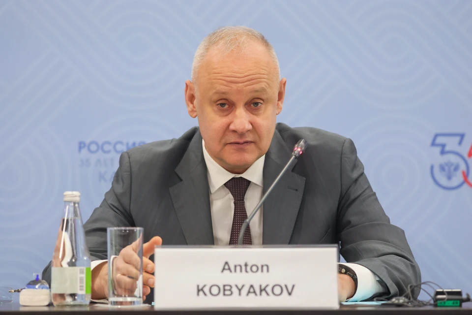 Кобяков: РФ рассчитывает на крупное мероприятие на саммите с арабскими странами. Фото: Shatokhina Natalia/GLOBAL LOOK PRESS