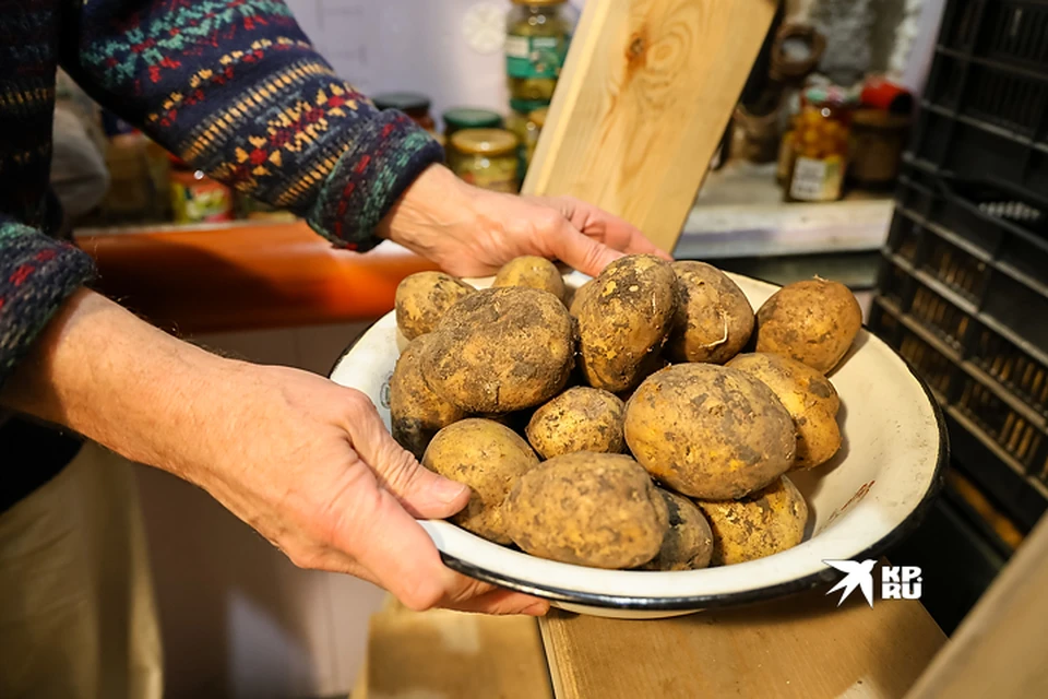 В Свердловской области картофель за неделю подешевел почти на 5%