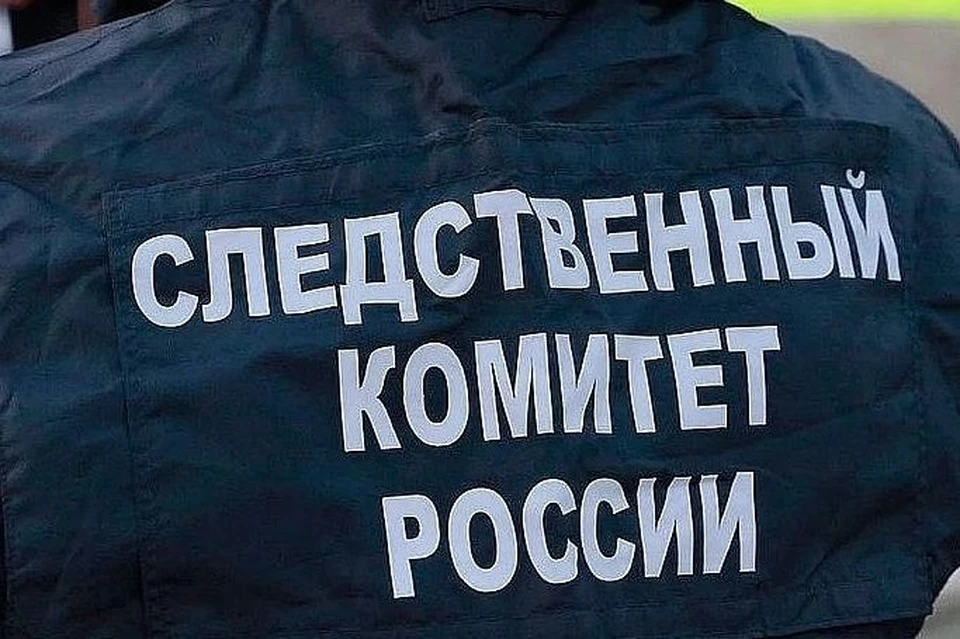 Следственное управление СКР по Алтайскому краю возбудило уголовное дело