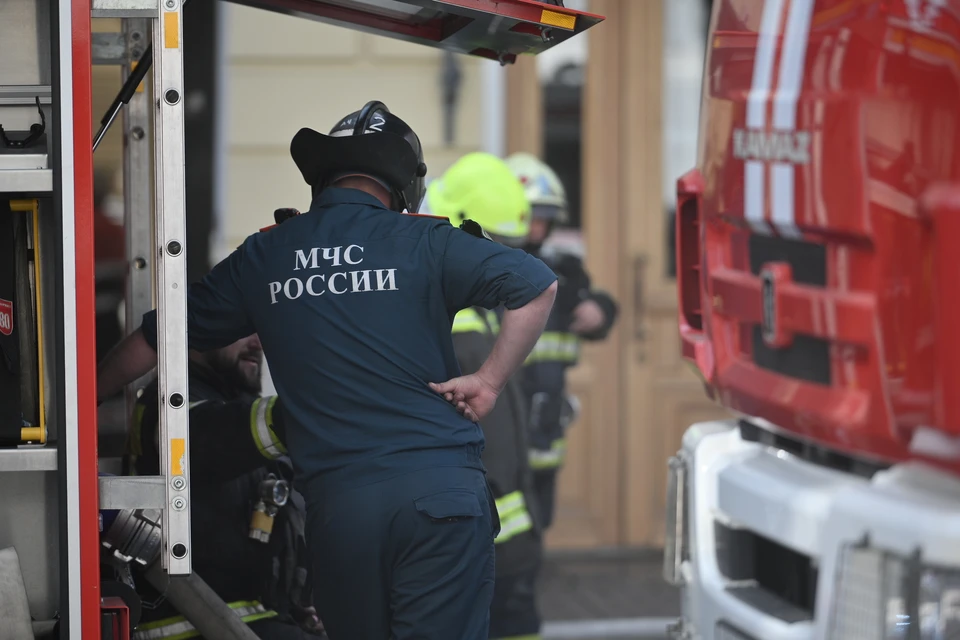Пять пожаров потушили за сутки в Нижегородской области