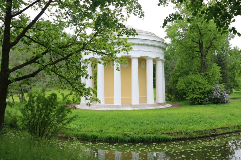 Всего в парке утрачено 2565 деревьев. Фото: vk.ru/pavlovskpalaceandpark