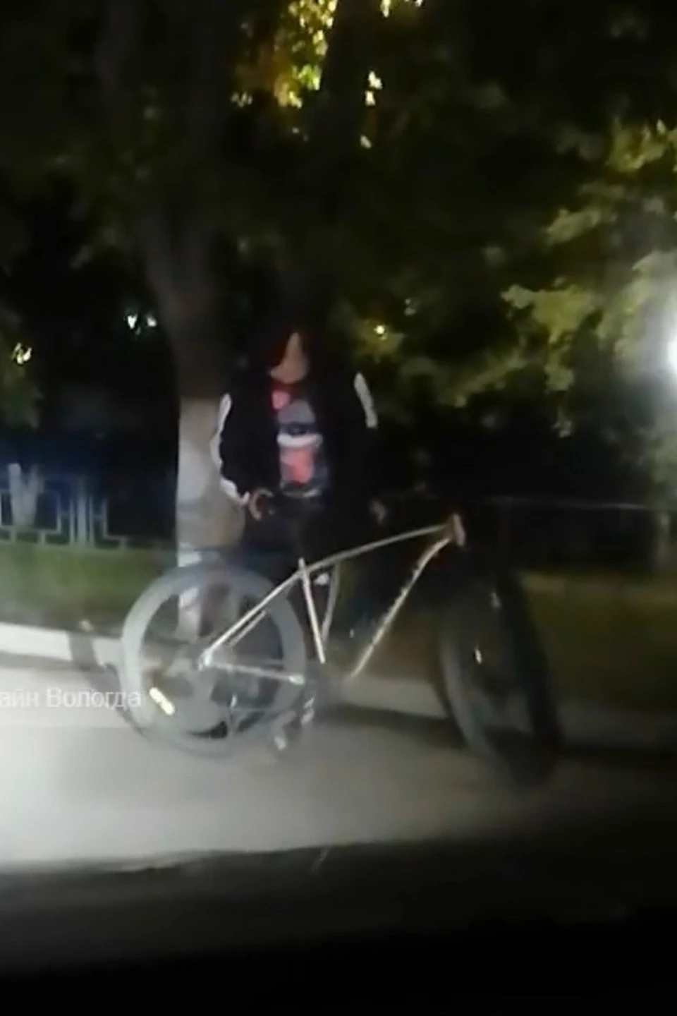 Фото: УМВД области: