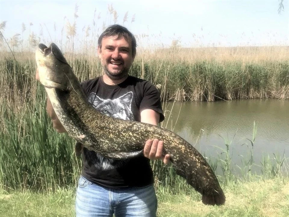 Дмитрий Ходырев