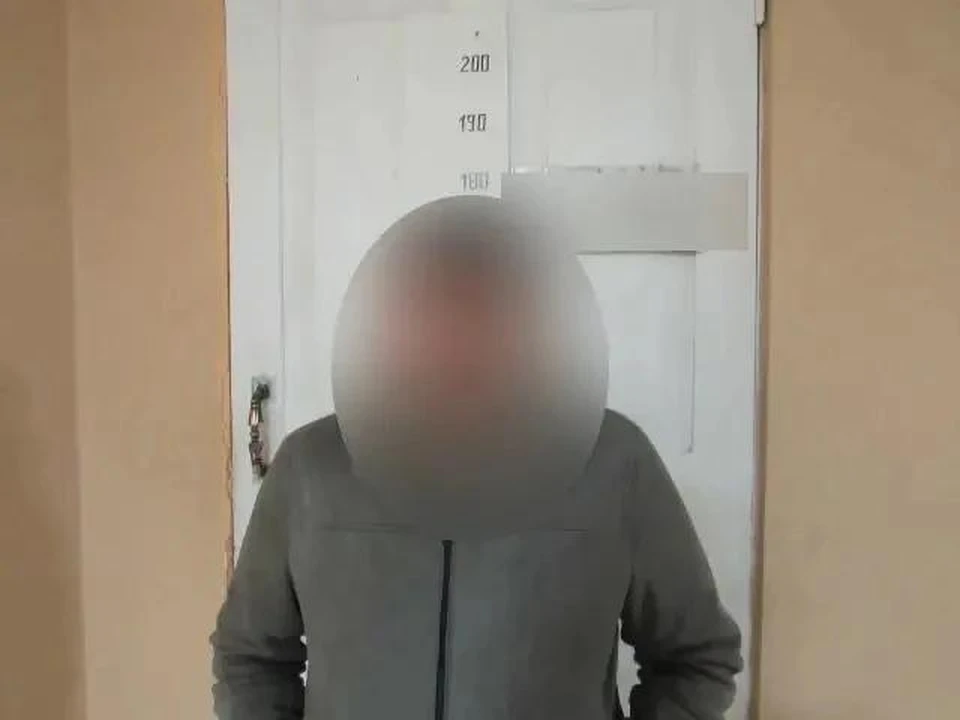 В тамбуре, когда оренбуржец достал купюры из кармана, чтобы отдать часть, подозреваемый выхватил все деньги из его рук и скрылся