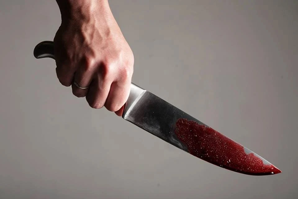 В Орехово-Зуеве подростки зарезали шестиклассника