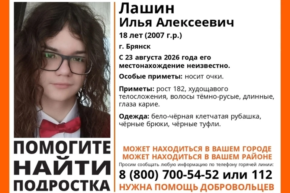 Фото: поисковый отряд "Лиза Алерт", ВКонтакте.