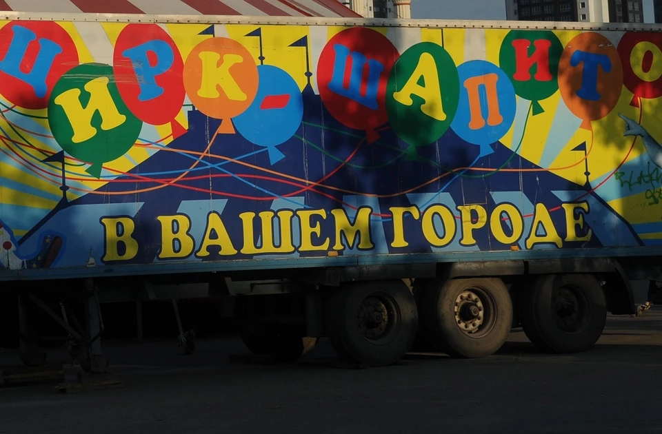 Цирк-шапито разместится на главном стадионе Екатеринбурга