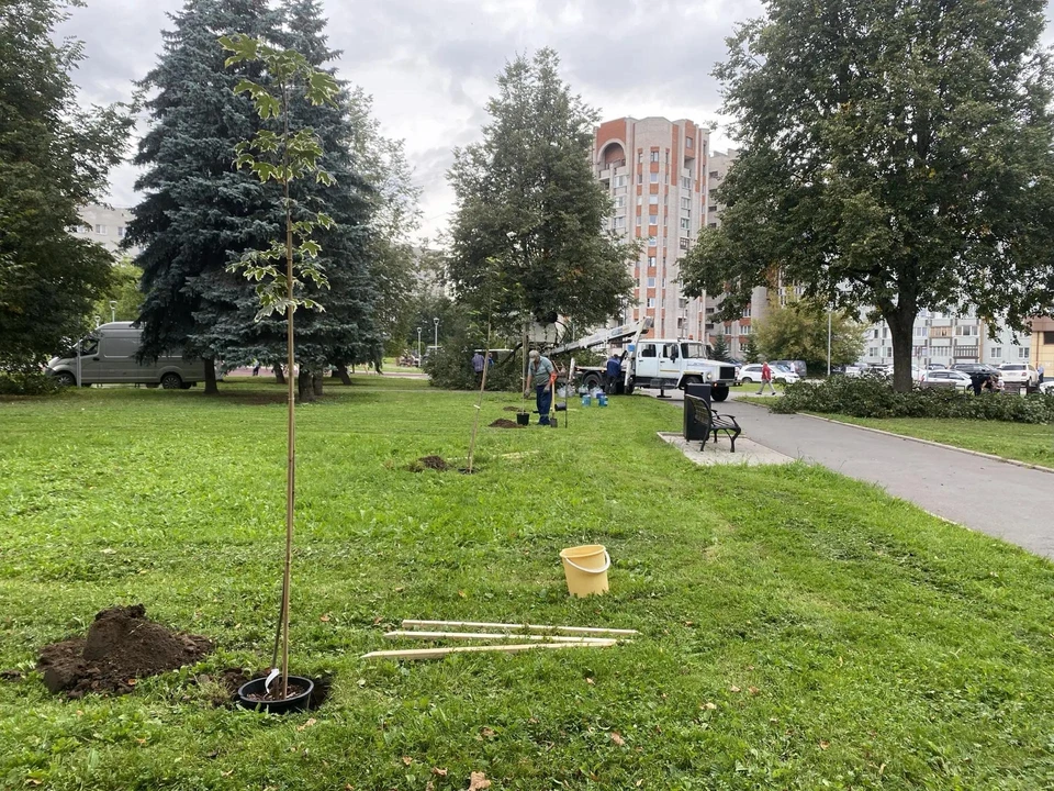 Фото: канал Бориса Елкина в МАХ