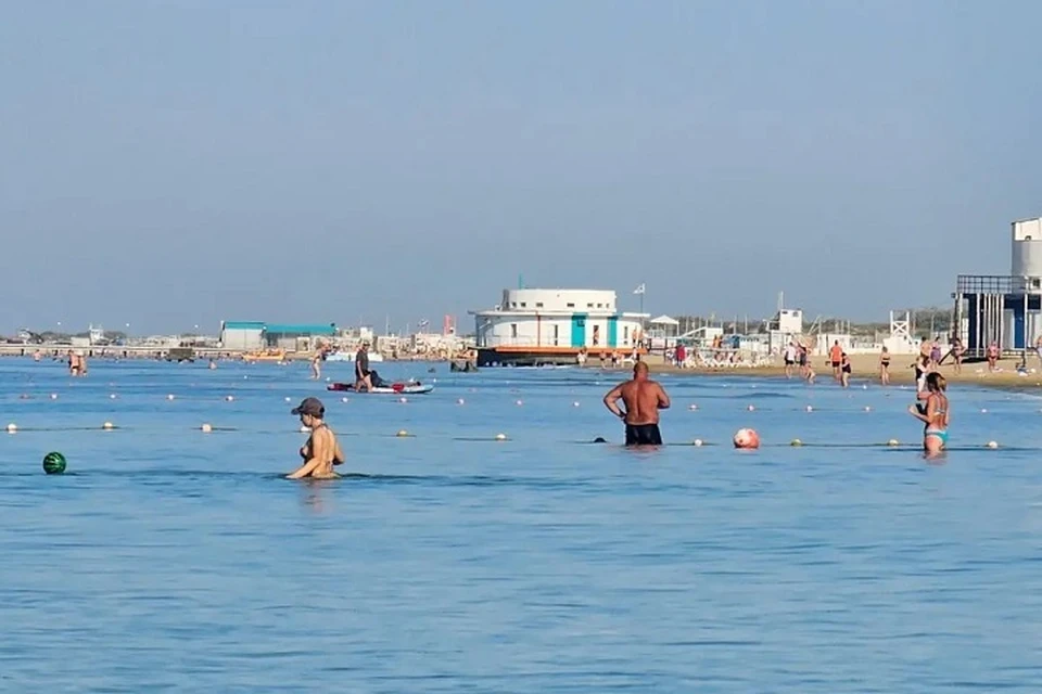 Скатов часто видели на пляжах, где купаются туристы. Фото: Юрий Озаровский