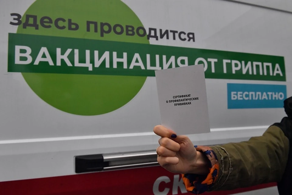 Грипп - высокозаразное заболевание, нередко приводящее к тяжёлым осложнениям