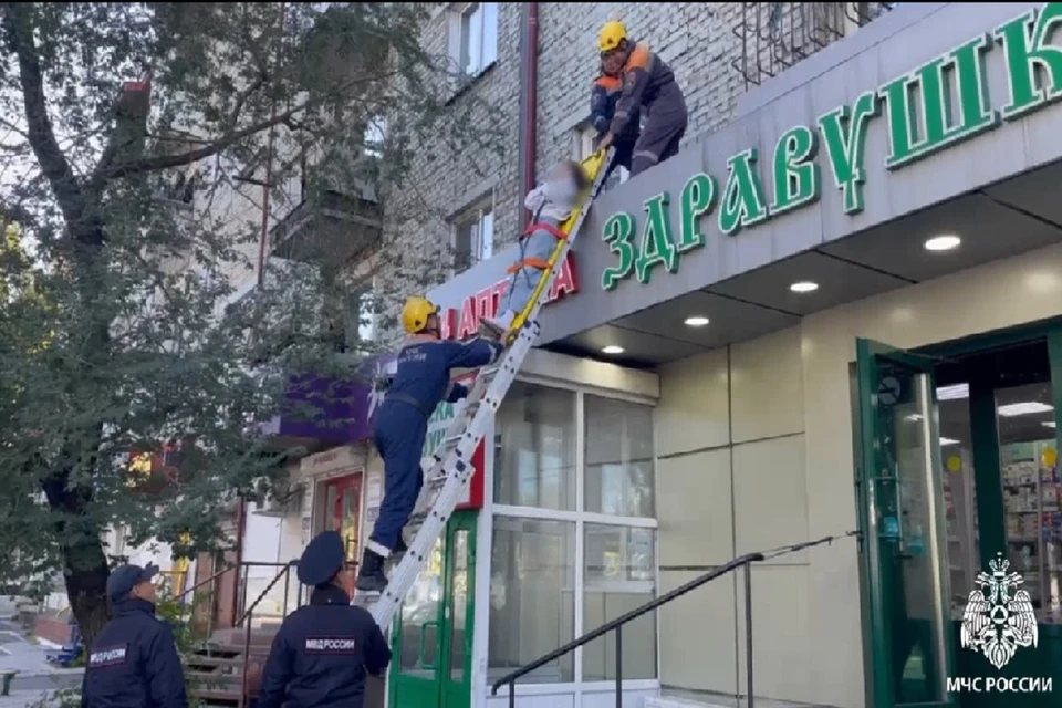 Фото: стоп-кадр видео МЧС по Туве