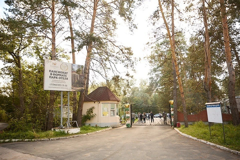 Пансионат «Надежда» расположен в сосновом бору на участке в три гектара / Фото: предоставлено пансионатом «Надежда»