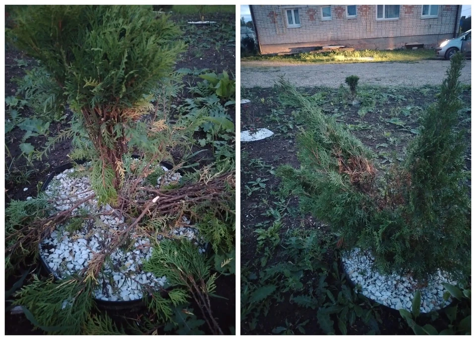 Фото: газета «Пламя» Куньинского района