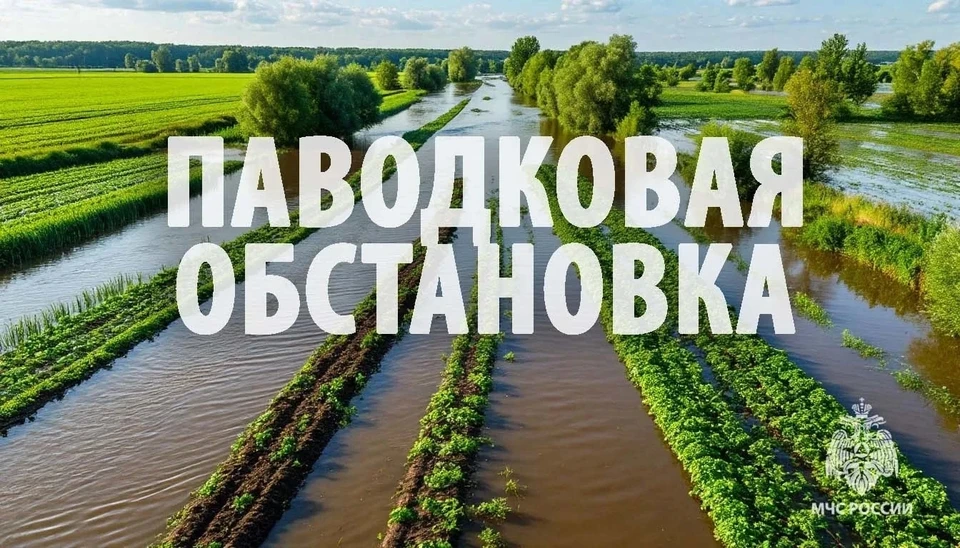Фото: ГУ МЧС России по Хабаровскому краю