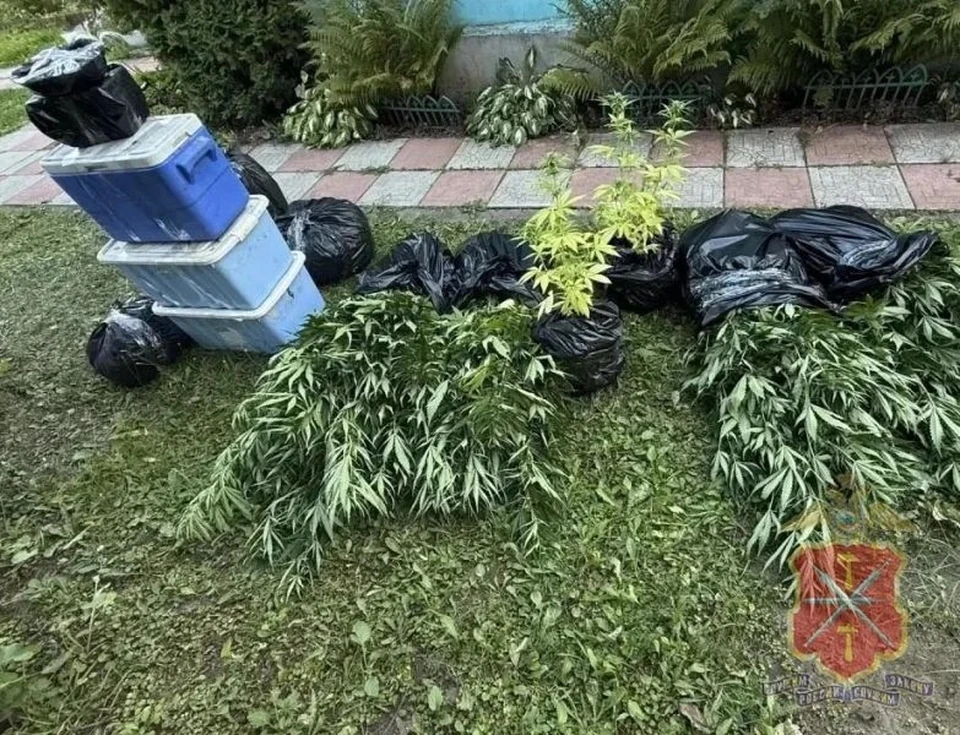 Под Тулой пресекли незаконное культивирование и хранение крупной партии наркотиков