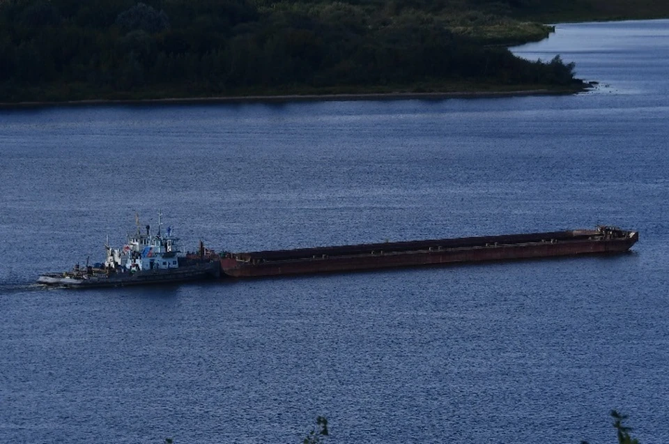 На работу по приведению водного объекта в порядок планируют потратить 950 млн рублей.